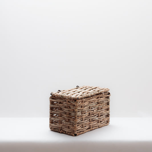 Annabeth Storage Box