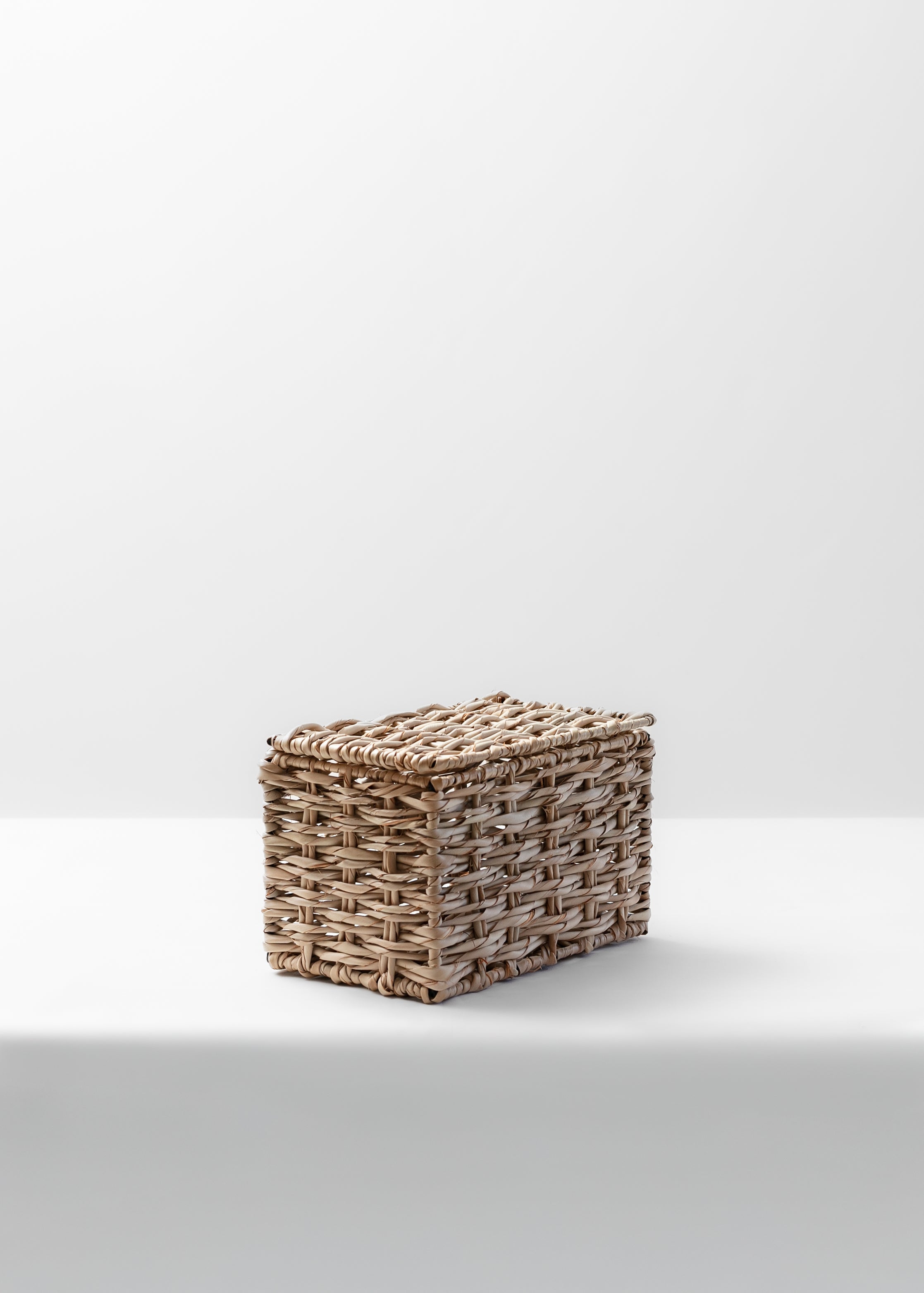 Annabeth Storage Box