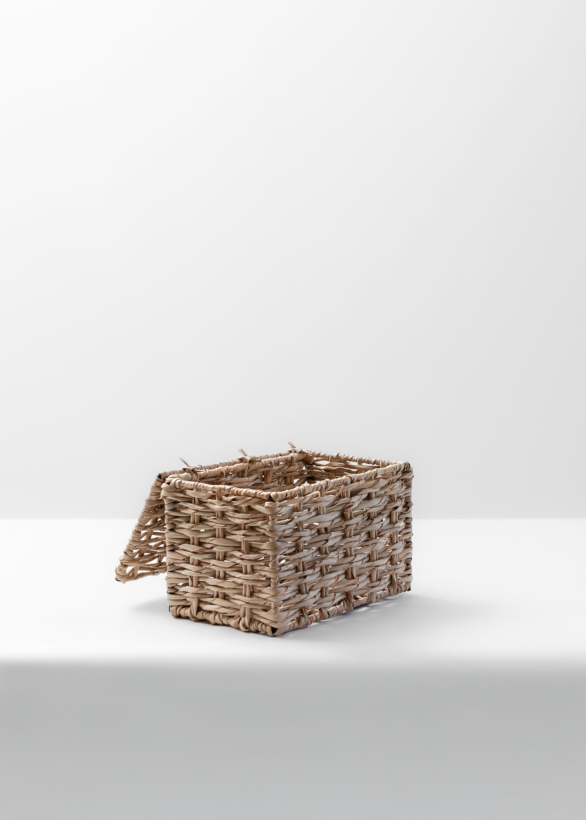 Annabeth Storage Box