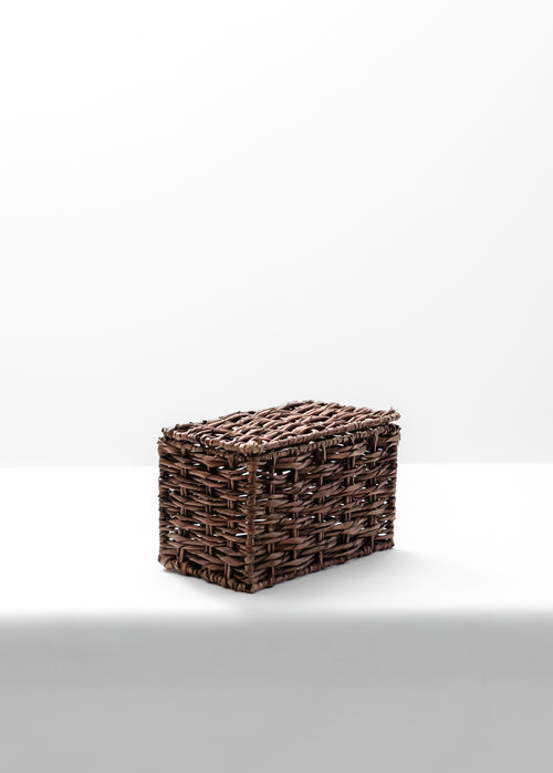 Annabeth Storage Box