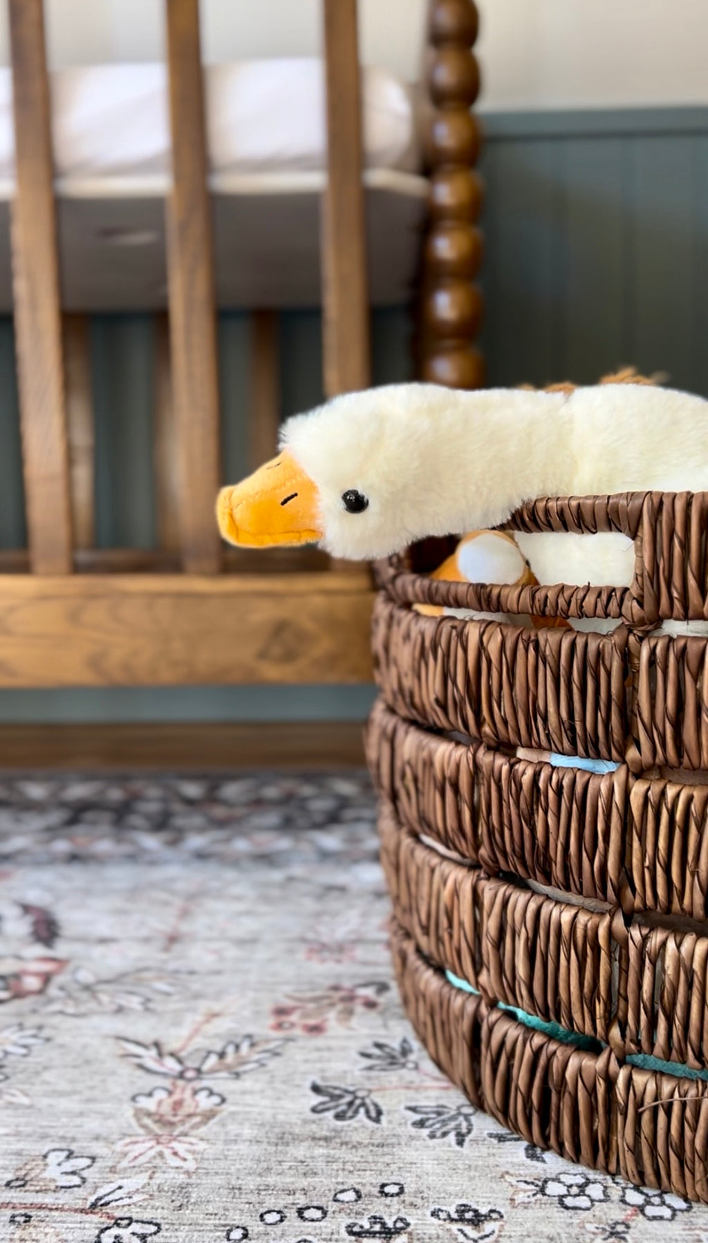 Dalton Basket